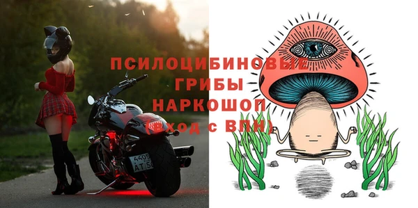 амф Бугульма