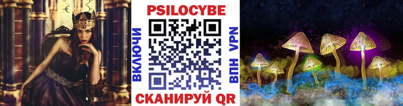 Галлюциногенные грибы Psilocybe  магазин  наркотиков  Княгинино 